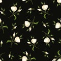 Seamless pattern with white lisianthus flowers. Vector illustration. Royalty Free Stock Photo