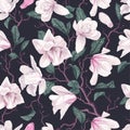 Seamless pattern with white magnolia on dark background. Royalty Free Stock Photo