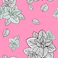 Seamless pattern white mint leaves on a pink background.