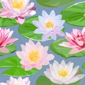 Seamless pattern of white and pink water lilies and green leaves on blue background Royalty Free Stock Photo