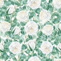 Seamless pattern with white roses and eucalyptus branches on white background. Romantic style. Watercolor