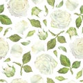 Seamless pattern of white roses, leaves and buds. Watercolor botanical illustration. Isolated on a white background.Hand Royalty Free Stock Photo