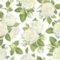 Seamless pattern of white roses, leaves and buds. Watercolor botanical illustration. Isolated on a white background.Hand Royalty Free Stock Photo