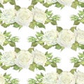 Seamless pattern of white roses, leaves and buds. Watercolor botanical illustration. Isolated on a white background.Hand Royalty Free Stock Photo