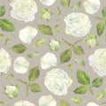 Seamless pattern of white roses, leaves and buds. Watercolor botanical illustration. Isolated on a beige background.Hand Royalty Free Stock Photo