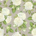 Seamless pattern of white roses, leaves and buds. Watercolor botanical illustration. Isolated on a beige background.Hand Royalty Free Stock Photo