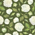 Seamless pattern of white roses, leaves and buds. Watercolor botanical illustration. Isolated on a green background.Hand Royalty Free Stock Photo