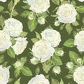 Seamless pattern of white roses, leaves and buds. Watercolor botanical illustration. Isolated on a green background.Hand Royalty Free Stock Photo