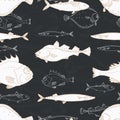 Seamless pattern of white sea fish on black background. Perch, cod, scomber, mackerel, flounder, saira. Vector doodle.