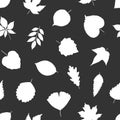 Seamless pattern with white silhouette leaves on black, vector illustration Royalty Free Stock Photo