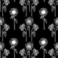 Seamless pattern white sunflower flower line art on black background illustration of a sunflower. Hand drawn decorative Royalty Free Stock Photo