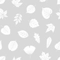 Seamless pattern with white textured silhouette leaves on gray, vector illustration Royalty Free Stock Photo