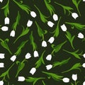 Seamless pattern of white tulips painted by hand on black background. In a chaotic manner.