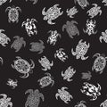 Seamless pattern with white turtles on the black background. Royalty Free Stock Photo