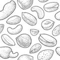 Seamless pattern whole and half nut seed. Vector black engraving Royalty Free Stock Photo