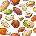 Seamless pattern whole and half nut seed. Vector engraving Royalty Free Stock Photo