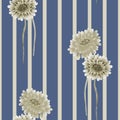 Seamless pattern of wild beige flowers on a deep blue background with beige vertical stripes. Watercolor Royalty Free Stock Photo
