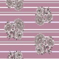 Seamless pattern of beige flowers on a deep pink background with gray and white horizontal stripes. Watercolor Royalty Free Stock Photo