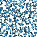 Seamless pattern wild blue flower and green leaves on white backgtound. Watercolor floral illustration. Botanical decorative Royalty Free Stock Photo