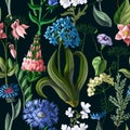 Seamless pattern with wild flowers on a dark background. Vector illustration.