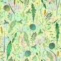 Seamless pattern with wild flowers, herbs, grasses. Watercolor hand drawn botanical illustration Royalty Free Stock Photo