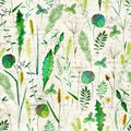 Seamless pattern with wild flowers, herbs, grasses. Watercolor hand drawn botanical illustration Royalty Free Stock Photo