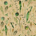 Seamless pattern with wild flowers, herbs, grasses. Watercolor hand drawn botanical illustration Royalty Free Stock Photo