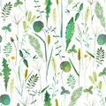 Seamless pattern with wild flowers, herbs, grasses. Watercolor hand drawn botanical illustration Royalty Free Stock Photo