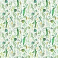Seamless pattern with wild flowers, herbs, grasses. Watercolor hand drawn botanical illustration Royalty Free Stock Photo