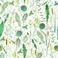 Seamless pattern with wild flowers, herbs, grasses. Watercolor hand drawn botanical illustration