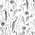 Seamless pattern with wild flowers, herbs, grasses. Watercolor hand drawn botanical illustration Royalty Free Stock Photo