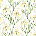 Seamless pattern with watercolor lily on white background. Royalty Free Stock Photo