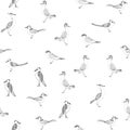 Seamless pattern wild little friendly birds.