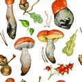 Seamless pattern with wild mushrooms Royalty Free Stock Photo