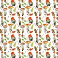 Seamless pattern with wild mushrooms. Hand drawn watercolor painting Royalty Free Stock Photo