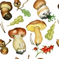 Seamless pattern with wild mushrooms. Hand drawn watercolor Royalty Free Stock Photo