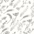 Seamless pattern with wild plants on a white background