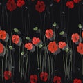 Seamless pattern of red flowers of poppies with green stems on the black background. Watercolor Royalty Free Stock Photo