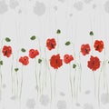 Seamless pattern of red and gray flowers of poppies with green stems on a light gray background. Watercolor Royalty Free Stock Photo