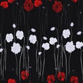 Seamless pattern of white and deep red flowers of poppy on the black background. Watercolor - 2 Royalty Free Stock Photo