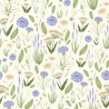 Seamless pattern with wildflowers. Cornflowers and flowering herbs