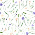 Seamless pattern with wildflowers, eustoma and cornflowers Royalty Free Stock Photo