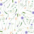 Seamless pattern with wildflowers, eustoma and cornflowers