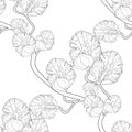 Seamless pattern willow coloring of flower spring. vector ill Royalty Free Stock Photo