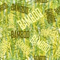 Seamless pattern with the words `BAMBOO` on a background of stems and leaves of bamboo. Royalty Free Stock Photo