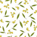 Seamless pattern of yellow clover flowers with leaves Royalty Free Stock Photo