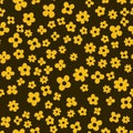 Seamless pattern, yellow flower on a dark background, simple design for textiles and packaging vector Royalty Free Stock Photo