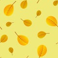 Seamless pattern of yellow leaves. Vector background of leaves for decoration. Autumn pattern