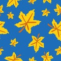 Seamless pattern with yellow maple leaves. Brown stem. Blue background. Autumn or summer. Nature or ecology. Doodle cartoon style Royalty Free Stock Photo