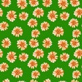 Seamless pattern with yellow orange daisies Royalty Free Stock Photo